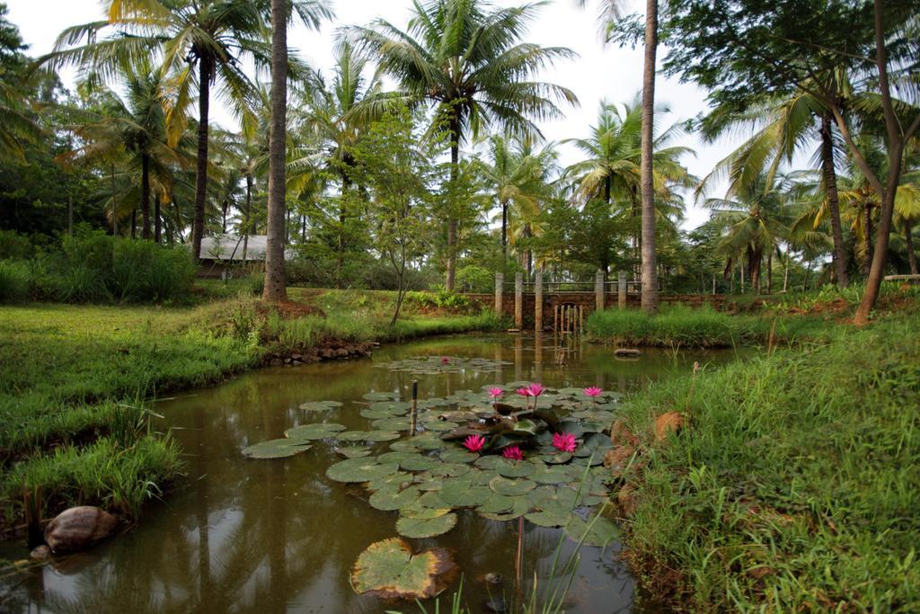 Hotel Shreyas Retreat Nelamangala Exterior foto